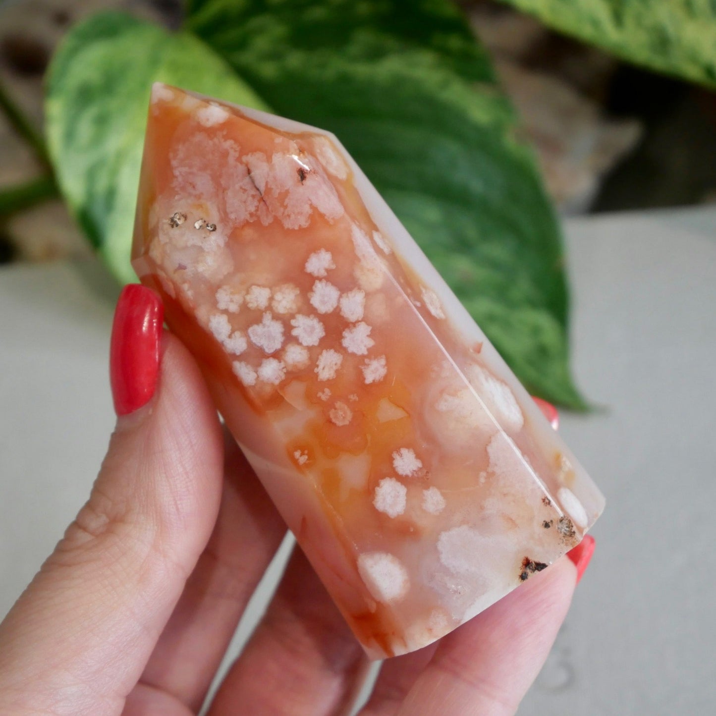 Carnelian with Flower Agate Tower No 92