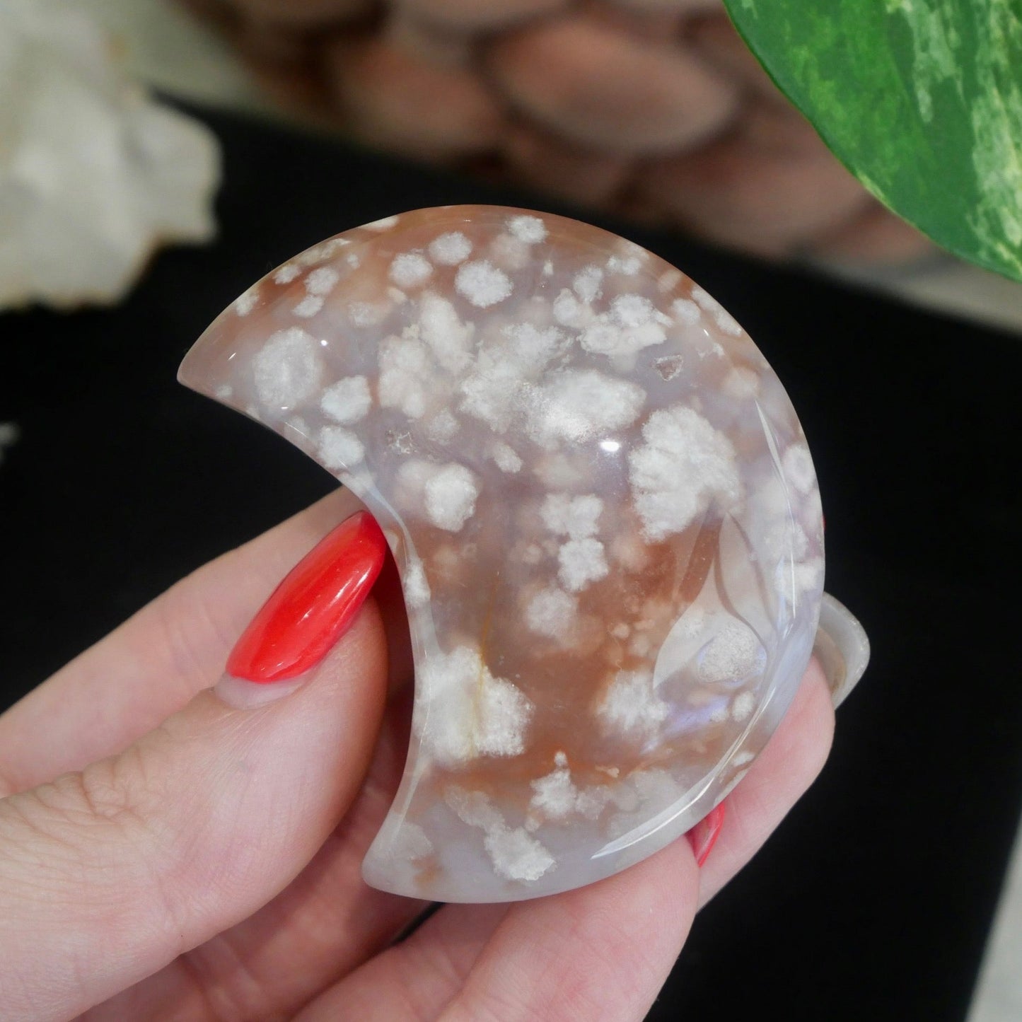 Flower Agate Moon No 33