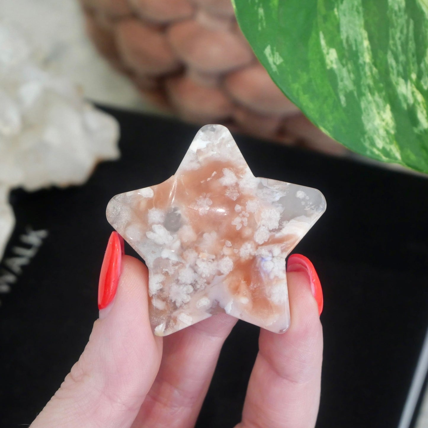 Flower Agate Star No 22