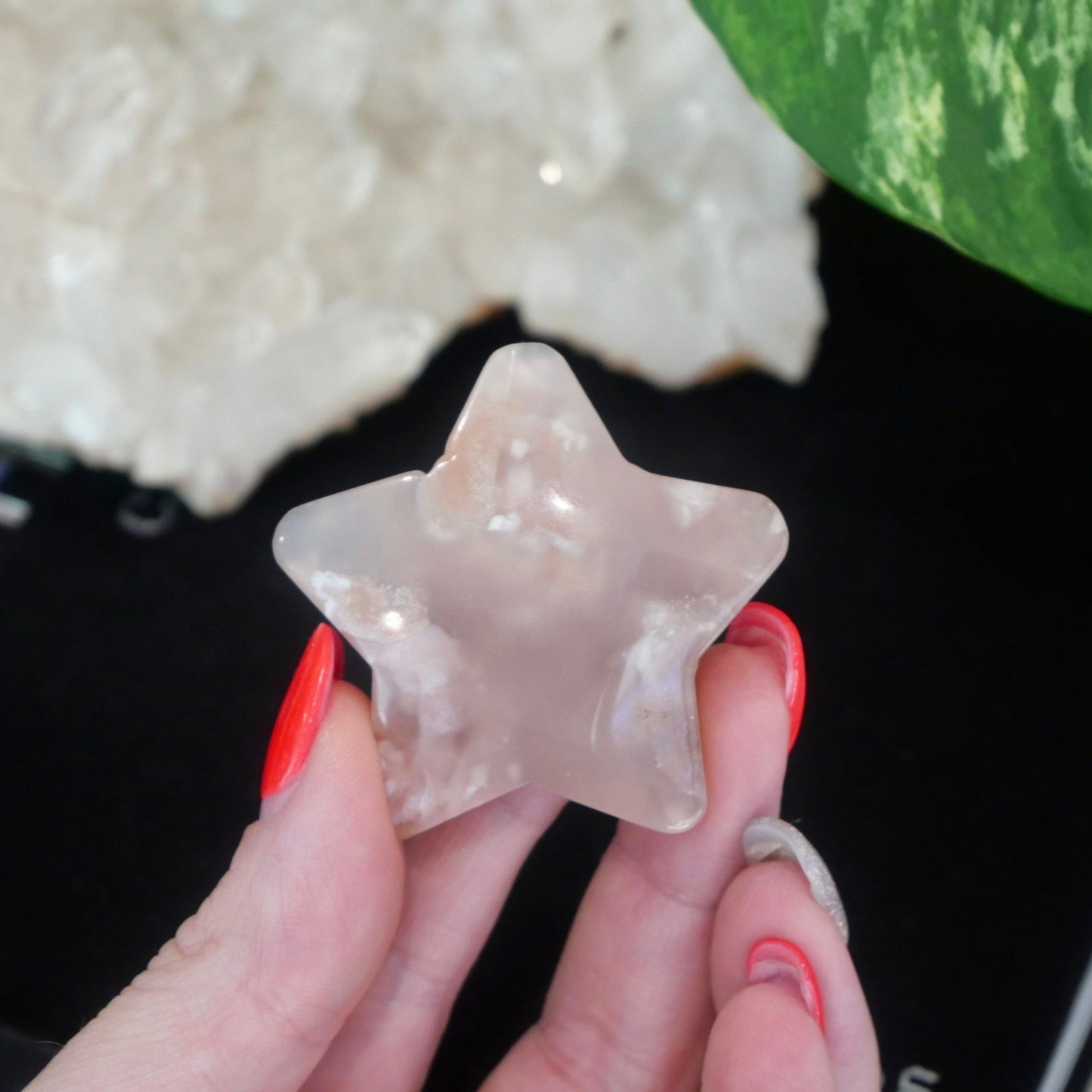 Flower Agate Star No 22