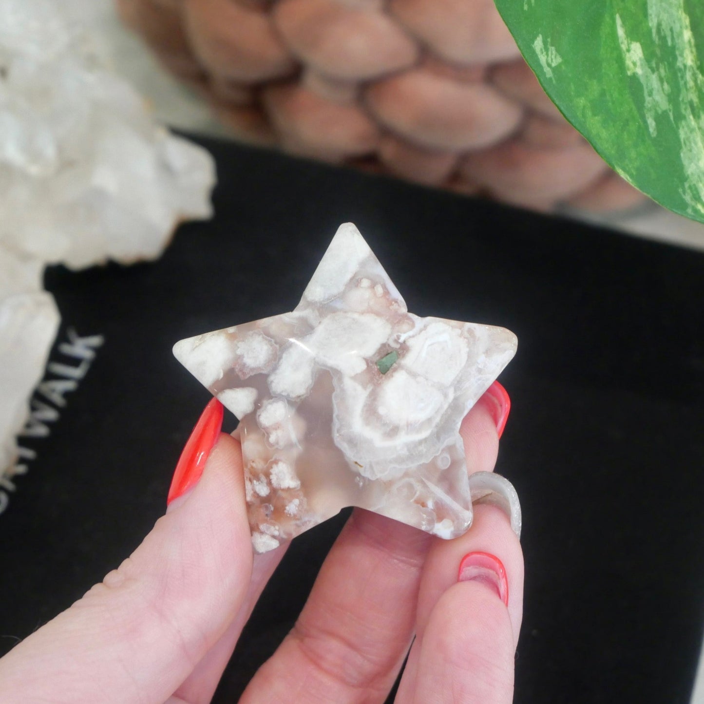 Flower Agate Star No 24