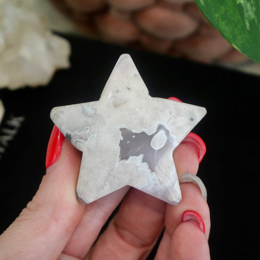 Flower Agate Star No 25