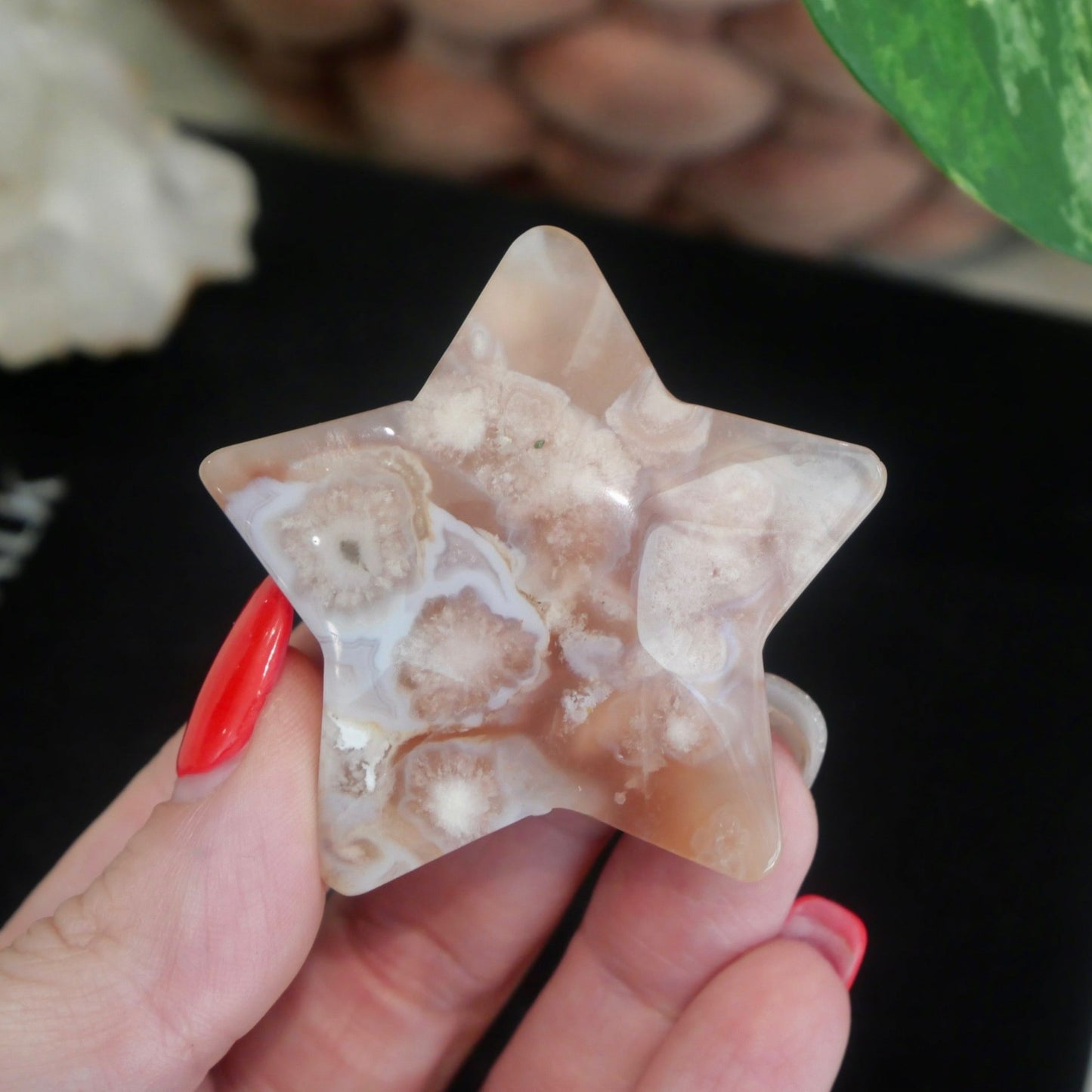 Flower Agate Star No 26