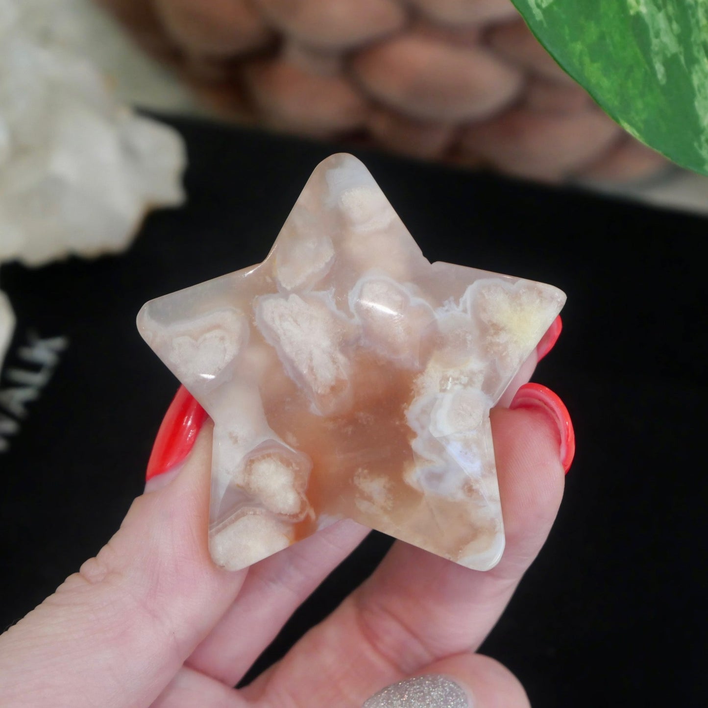 Flower Agate Star No 26