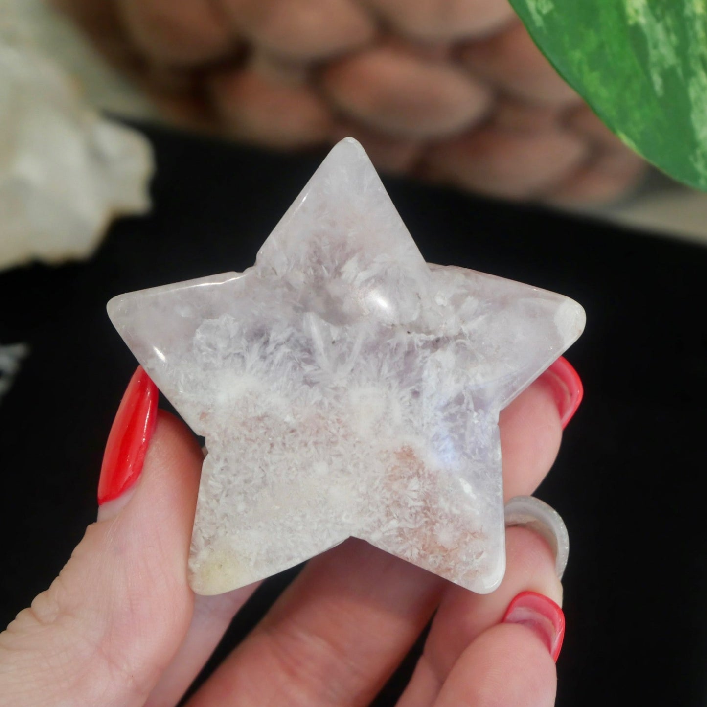 Flower Agate Star No 27