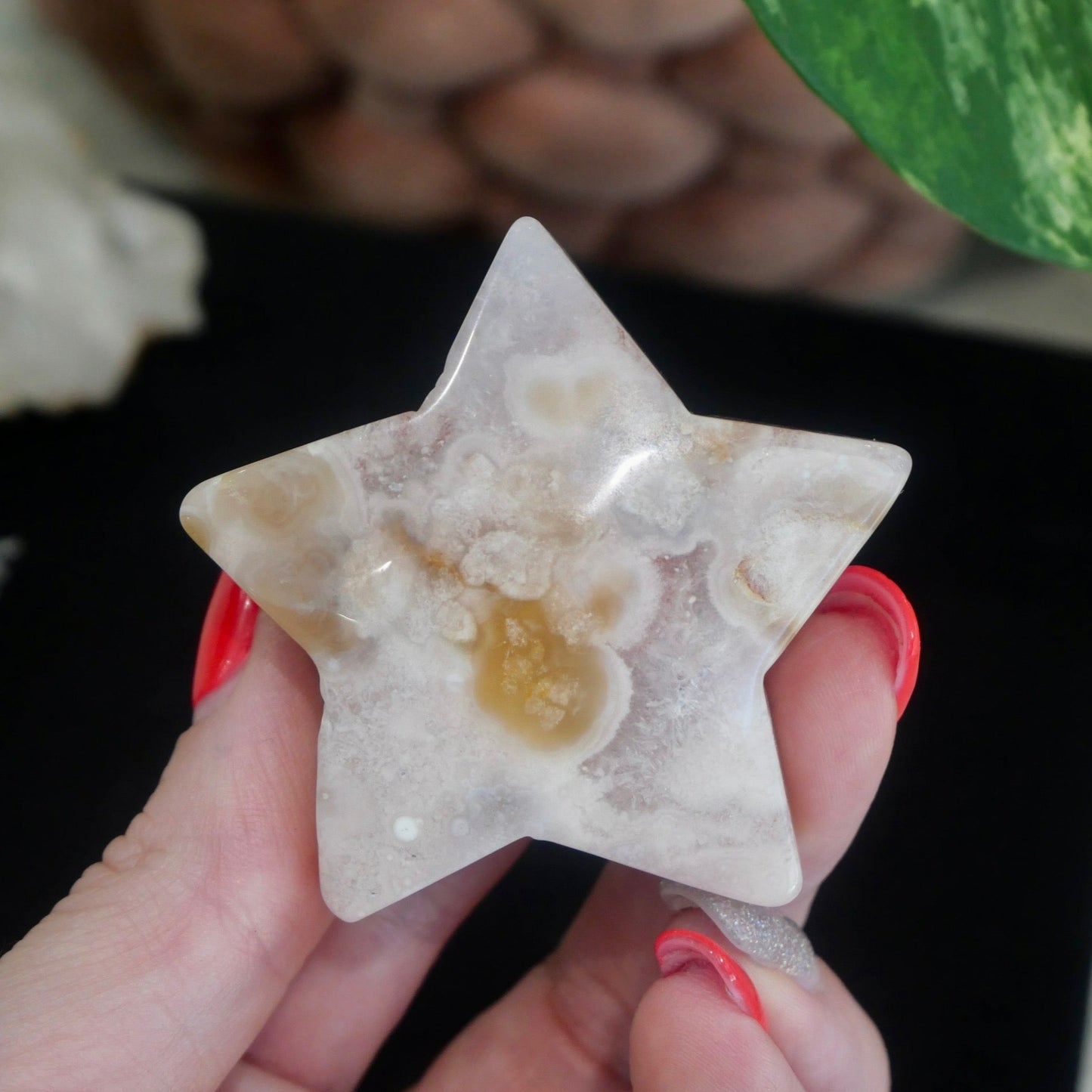 Flower Agate Star No 27