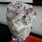 Raw High Grade Lepidolite on Stand No 368